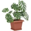 Augalų vazonai 24 pcs Raudona plyta 33 x 33 x 26 cm Plastmasė