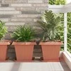Augalų vazonai 24 pcs Raudona plyta 38 x 38 x 30 cm Plastmasė