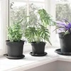 Augalų vazonai 6 pcs Juoda Ø 12,5 x 10 cm Plastmasė