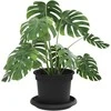 Augalų vazonai 6 pcs Juoda Ø 12,5 x 10 cm Plastmasė