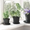 Augalų vazonai 6 pcs Juoda Ø 15 x 12 cm Plastmasė