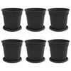 Lova Augalų vazonai 6 pcs Juoda Ø 17 x 14 cm Plastmasė