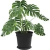 Lova Augalų vazonai 6 pcs Juoda Ø 19 x 16 cm Plastmasė