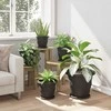 Augalų vazonai 6 vnt. Juoda Ø 26 x 21.5 cm Plastmasė