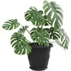 Augalų vazonai 6 pcs Juoda Ø 22 x 18 cm Plastmasė
