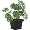Augalų vazonai 6 pcs Juoda 28,5 x 28,5 x 22 cm Plastmasė