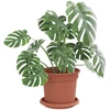 Augalų vazonai 6 pcs Raudona plyta Ø 15 x 12 cm Plastmasė
