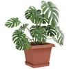 Augalų vazonai 6 pcs Raudona plyta 16 x 16 x 14 cm Plastmasė