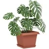 Augalų vazonai 6 pcs Raudona plyta 23 x 23 x 17,5 cm Plastmasė