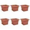 Augalų vazonai 6 pcs Raudona plyta 23 x 23 x 17,5 cm Plastmasė