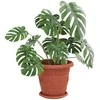 Augalų vazonai 6 pcs Raudona plyta Ø 26 x 21.5 cm Plastmasė