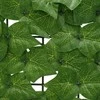Balkono ekranas su lapais Žalia 300 x 100 cm