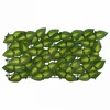 Balkono ekranas su lapais Žalia ir geltona 300 x 150 cm