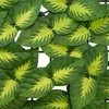 Balkono ekranas su lapais Žalia ir geltona 300 x 150 cm