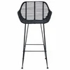 Baro Kėdė 2 pcs 55 x 52 x 92 cm Ratanas ir Geležis