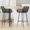 Baro Kėdė 2 pcs 55 x 52 x 105 cm Ratanas ir Geležis