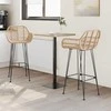Baro Kėdė 2 pcs 55 x 52 x 105 cm Ratanas ir Geležis