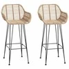 Baro Kėdė 2 pcs 55 x 52 x 105 cm Ratanas ir Geležis