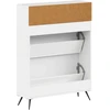 Batu skrynia BREDA 78 x 24 x 103 cm Apdirbta mediena