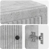 Batu skrynia EDE 59,5 x 39,5 x 90 cm Apdirbta mediena