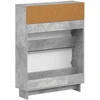Batu skrynia EDE 78 x 24 x 103 cm Apdirbta mediena Betono pilka