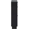 Batu skrynia EDE 78 x 24 x 103 cm Apdirbta mediena Juoda