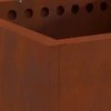 Be dūmų ugnies dubuo Atmosferos poveikiui atsparus plienas