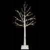 Beržinė Kalėdų eglutė Balta 22 x 22 x 120 cm Plastmasė 174 LED