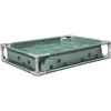 Bestway Priežeminė šunų žaidimų baseinas Žalia 102 x 74 x 20 cm