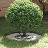tinkamas plokštiems medžio žiedams 5 pcs Sidabro Ø30 / 60 cm