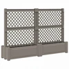 Didelis vazonas su treliu 2 pcs Pilka 200 x 43 x 133,5 cm PP