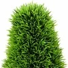 Dirbtinis Pušis Žalia 24 x 24 x 90 cm Plastmasė
