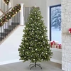 Dirbtinė Kalėdų eglutė 270 cm 300 LED Šilta balta Žalia