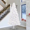 Dirbtinė Kalėdų eglutė su 300 LED Balta 300 cm PVC ir Plienas