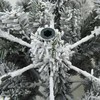 Dirbtinė Kalėdų eglutė su 300 LED Balta 210 cm PE ir PVC