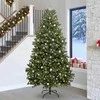 Dirbtinė Kalėdų eglutė su 300 LED Žalia 270 cm PVC ir metalas