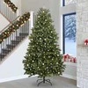 Dirbtinė Kalėdų eglutė su 300 LED Žalia 300 cm PVC ir metalas