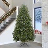 Dirbtinė Kalėdų eglutė su 300 LED Žalia 300 cm PVC ir metalas