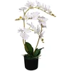 Dirbtinė orchidėja su vazonu, 65 cm, balta