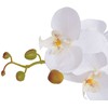 Dirbtinė orchidėja su vazonu, 75 cm, balta