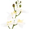 Dirbtinė orchidėja su vazonu Balta 45 x 15 x 65 cm
