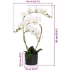Dirbtinė orchidėja su vazonu Balta 45 x 15 x 65 cm