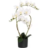 Dirbtinė orchidėja su vazonu Balta 45 x 15 x 65 cm