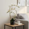 Dirbtinė orchidėja su vazonu Balta 45 x 15 x 65 cm
