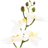 Dirbtinė orchidėja su vazonu Balta 45 x 15 x 65 cm