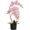 Dirbtinė orchidėja su vazonu Rožinė 45 x 15 x 65 cm