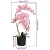 Dirbtinė orchidėja su vazonu Rožinė 45 x 15 x 65 cm