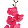 Dirbtinė orchidėjų augalas Raudona 36 x 10 x 30 cm