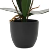 Dirbtinė orchidėjų augalas Raudona 36 x 10 x 30 cm