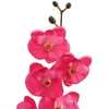 Dirbtinė orchidėjų augalas Raudona 36 x 10 x 30 cm